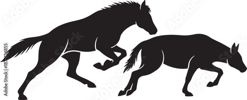 Silhouette of Horse and Donkey Running Together in Black