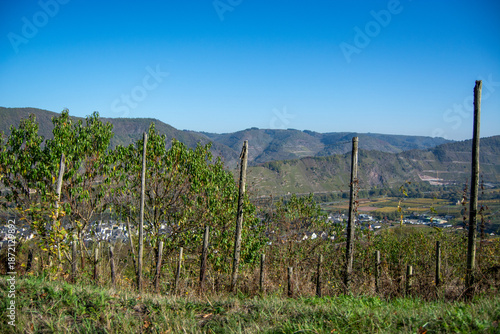 Scenic vineyards and rolling hills under blue sky