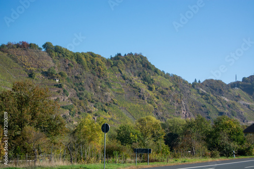 Vineyard hillside under clear blue sky