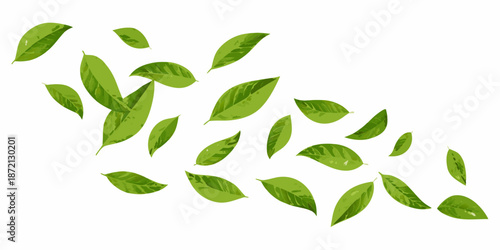 A cluster of vibrant green leaves scattered in a gentle flowing arrangement