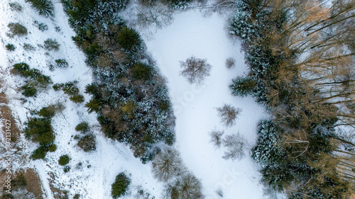 winter forest in Germany 