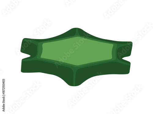 Cytoplasm encased in cell wall and cell membrane Illustration
