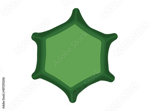 Cytoplasm encased in cell wall and cell membrane
