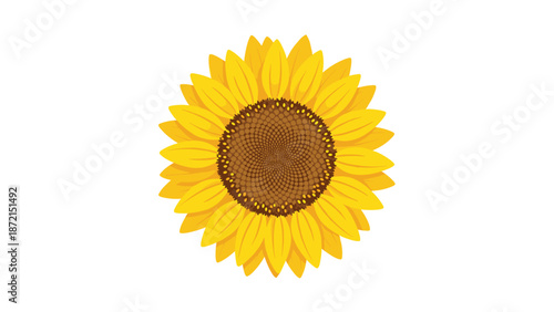 Detailed top-down view of a vibrant sunflower with its characteristic yellow petals and intricate seed pattern, symbolizing summer and nature.