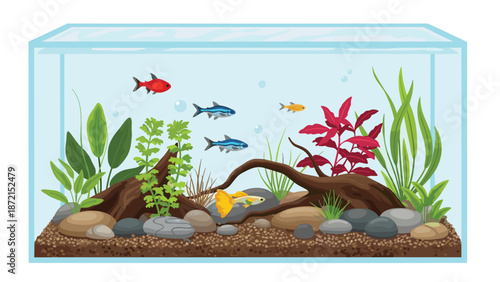 A clean and serene aquarium showcases several vibrant freshwater fish gracefully swimming amongst lush green and red aquatic plants and natural rocks.