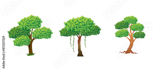 Tree Vector Illustration Collection Featuring Tropical and Orchard Trees with Mango, Apple, Banana, Orange, Coconut Palm and More Isolated on White Background