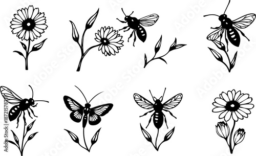 Spring Garden Bees and Daisy Floral Illustration Collection