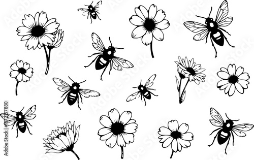 Spring Garden Bees and Daisy Floral Illustration Collection