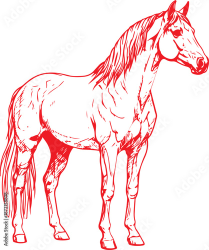 Lunar New Year Red Horse Sketch Illustration