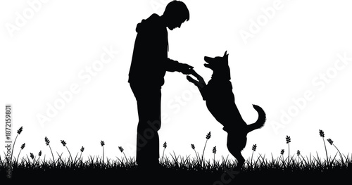 Boy playing with dog silhouette in grass, heartwarming human and pet interaction illustration symbolizing friendship, training, and outdoor companionship