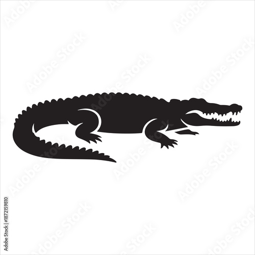 Crocodile Vector 
