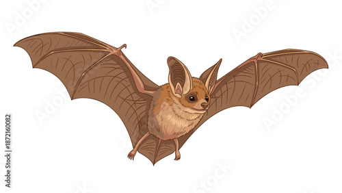 A light brown bat with distinctive large ears and intricately textured wings is depicted in flight, highlighting its graceful aerial movement.