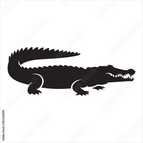 Crocodile Vector 
