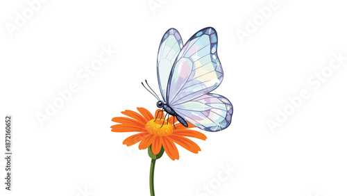 A delicate light blue and purple butterfly gracefully rests upon a vibrant orange flower, showcasing the beauty of nature and insect life.