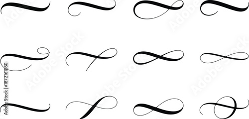 A diverse collection of twelve elegant calligraphic swashes and decorative flourishes appear on a plain white background