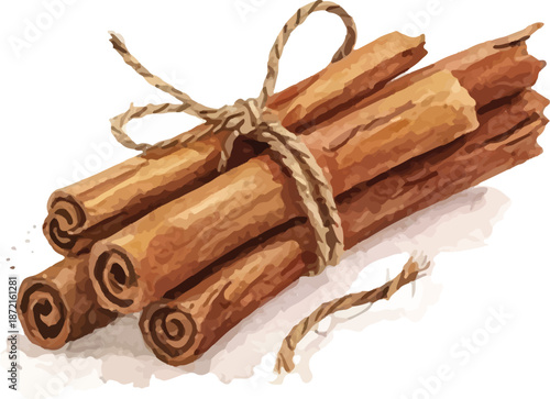 Bundled Watercolor Cinnamon Sticks Tied with Twine Art