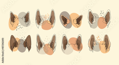 Hand drawn illustration of various dog ear shapes with colorful abstract blobs on a beige background showing different breeds and styles.