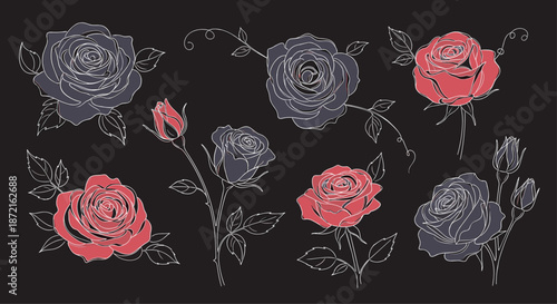Beautiful sketches of various roses and buds in shades of red and dark grey arranged on a black background for floral design and decoration.