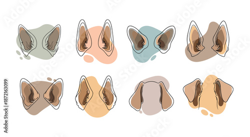 Collection of different shapes and sizes of dog and cat ears illustrated with minimalist lines and soft colors.