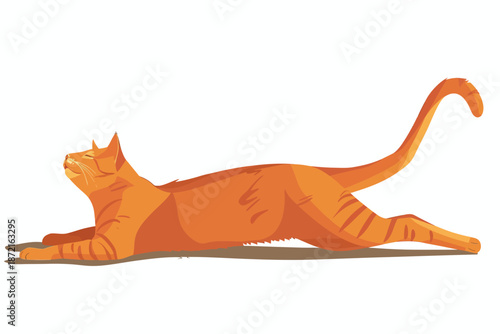 Cat Stretching in Sunlight stock image isolated vector style