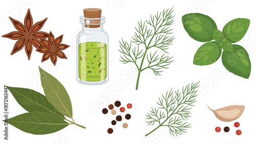 Collection of common culinary herbs and spices including green basil, dill, garlic, star anise, and a bottle of extra virgin oil.