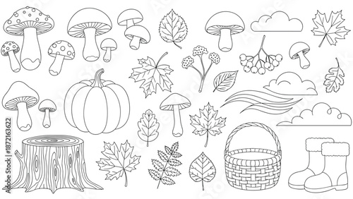 Detailed black and white coloring page for adults and kids featuring autumn elements like pumpkins, leaves, and mushrooms.