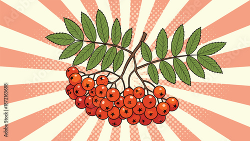 Cluster of bright orange rowan berries on a leafy branch against a retro pink and cream starburst background pattern.