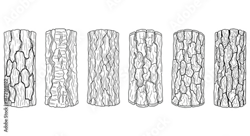Series of tree trunks with distinct bark patterns