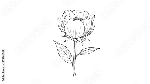 Detailed black and white line art illustration of a blooming flower with leaves isolated on a plain white background for coloring.