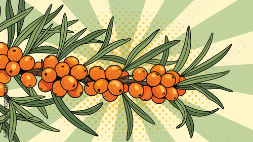 Close up pop art illustration of a sea buckthorn branch with orange berries against a green sunburst background.