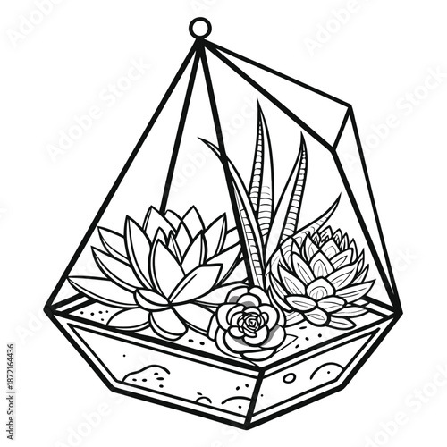Line art shows succulent plants inside geometric terrarium with sand and pebble details