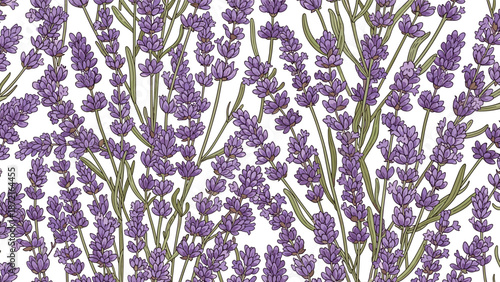 Lavender flower field pattern with hand drawn purple blossoms and green leaves on white background for textile design.