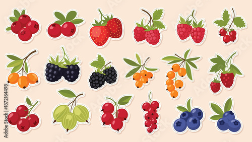 Large set of various berry and fruit stickers including strawberries raspberries blueberries and currants on beige background.