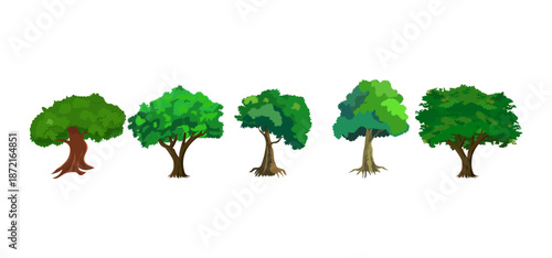 Tree Vector Illustration Collection Featuring Tropical and Orchard Trees with Mango, Apple, Banana, Orange, Coconut Palm and More Isolated on White Background