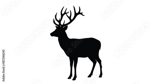 Majestic stag with large antlers stands in a striking pose silhouette