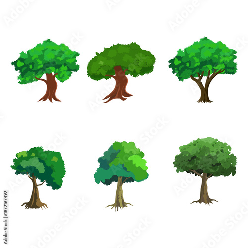 Tree Vector Illustration Collection Featuring Tropical and Orchard Trees with Mango, Apple, Banana, Orange, Coconut Palm and More Isolated on White Background