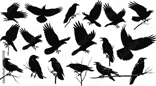Raven bird silhouette set vector illustration, flying perched crow collection black wildlife icons isolated white background nature gothic design graphic bundle art clipart template