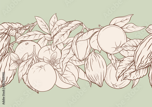 Oranges cacao pods citrus blossoms seamless coloring page. Botanical outline illustration for printable food design textile wallpaper kitchen dessert projects classic fruit chocolate plant motif.