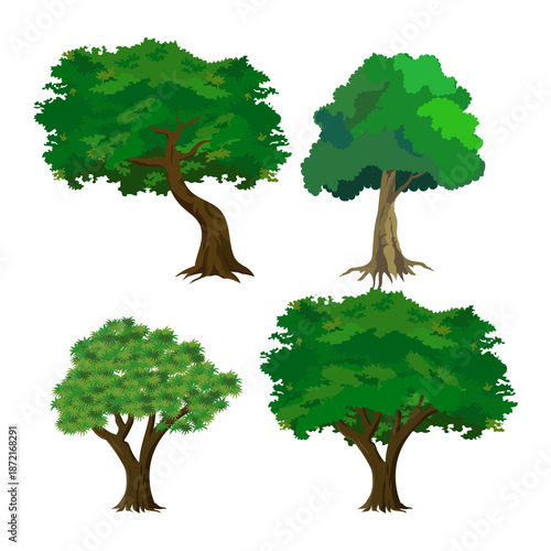 Tree Vector Illustration Collection Featuring Tropical and Orchard Trees with Mango, Apple, Banana, Orange, Coconut Palm and More Isolated on White Background