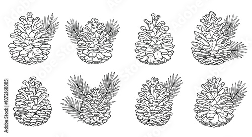 Collection of detailed pinecones