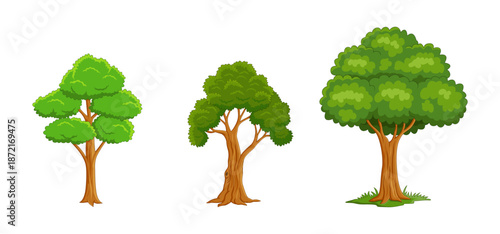 Tree Vector Illustration Collection Featuring Tropical and Orchard Trees with Mango, Apple, Banana, Orange, Coconut Palm and More Isolated on White Background