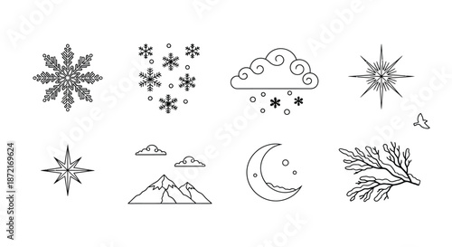 Winter night sky and nature elements