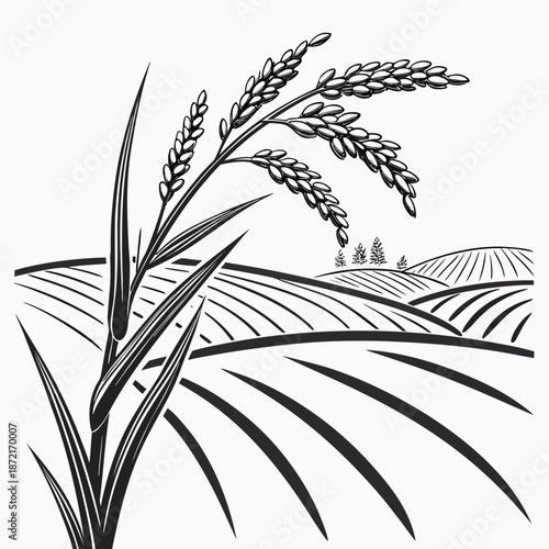 Isolated mature rice stalk stands before rolling hills and abstract farmland fields depicted in monochrome