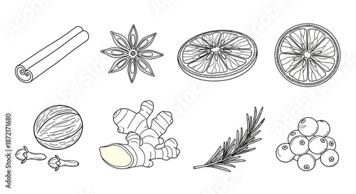 Collection of spices and herbs