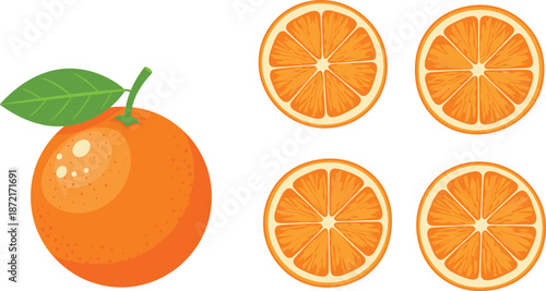 Fresh orange fruit and sliced citrus illustration set showing whole orange with leaf and round cross sections