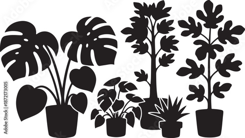Silhouette of Various Potted Houseplants on White Background