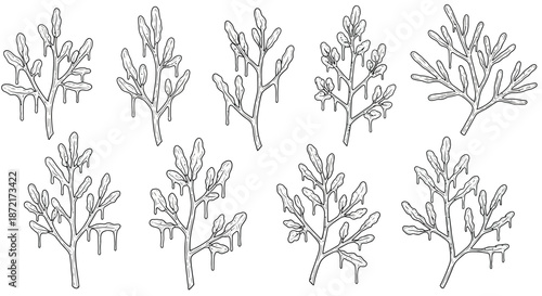 A collection of nine unique botanical leaf illustrations