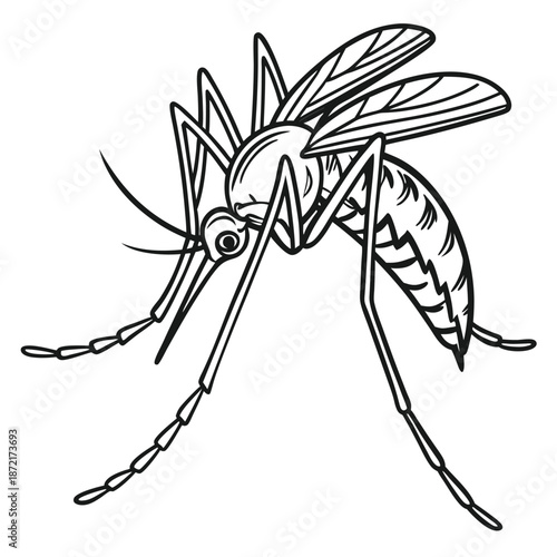 Outlined mosquito stands poised, legs extended, detailed wings ready for flight, showcasing its structure