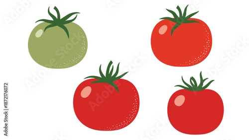 Set of four tomatoes with green stems including one green unripe tomato and three ripe red ones in a flat vector design style.