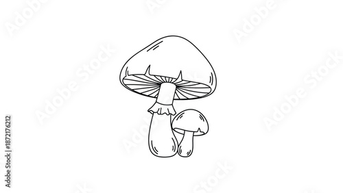 Detailed black and white line art illustration of two mushrooms with textured caps on a plain white background for coloring.